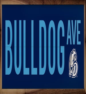 Avenue Drake University